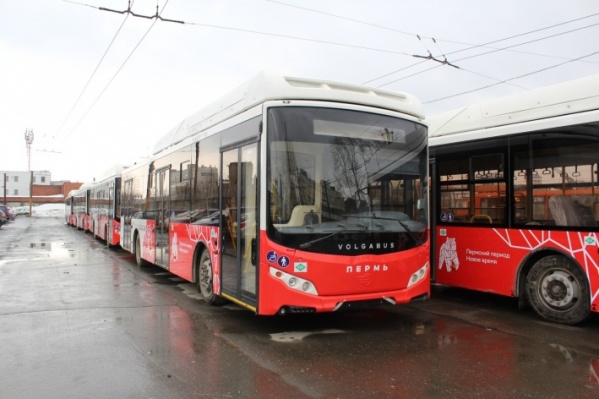Так будут выглядеть новые автобусы Так будут выглядеть новые автобусы