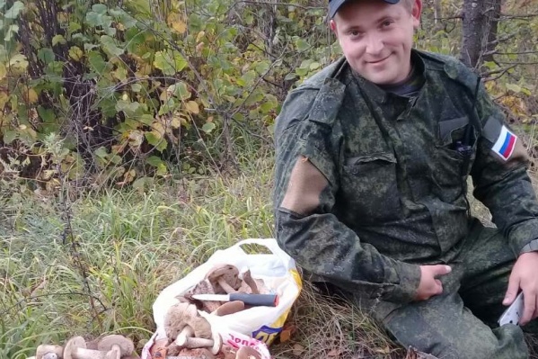 Грибы собирают вёдрами Грибы собирают вёдрами