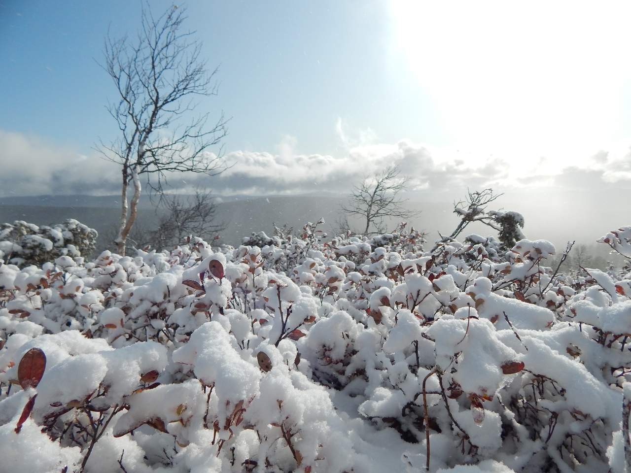 В крае выпал снег. Пермский край снегопад. Снег поле. Заснеженное поле. Снег фото.