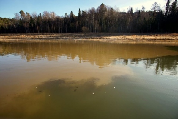 Так река выглядела осенью, грязь принесло в Красноярское водохранилище Так река выглядела осенью, грязь принесло в Красноярское водохранилище 