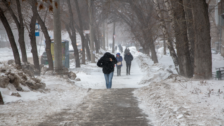 Мокрый снег и ветер: синоптики предупредили о неблагоприятных метеоусловиях