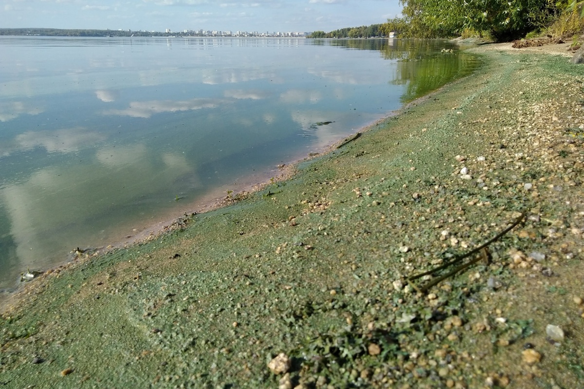 Шершневское водохранилище