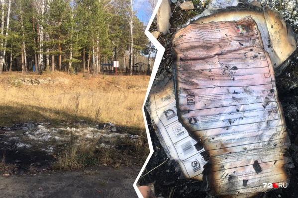 Взять эти бюллетени себе может любой желающий Взять эти бюллетени себе может любой желающий