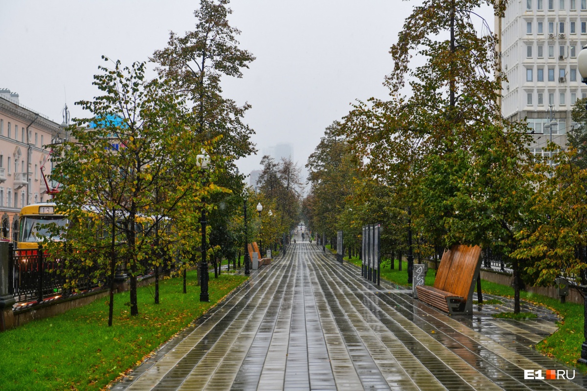 Осенние улицы Екатеринбурга