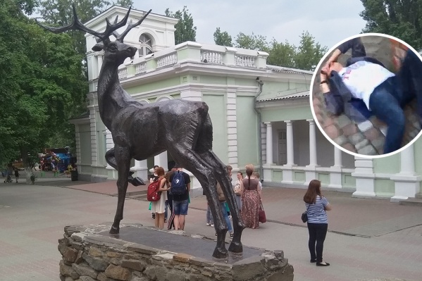 В зоопарке ударили по лицу посетителя В зоопарке ударили по лицу посетителя 