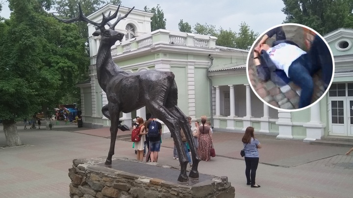 Вступился за лису и был избит: в ростовском зоопарке подрались посетители