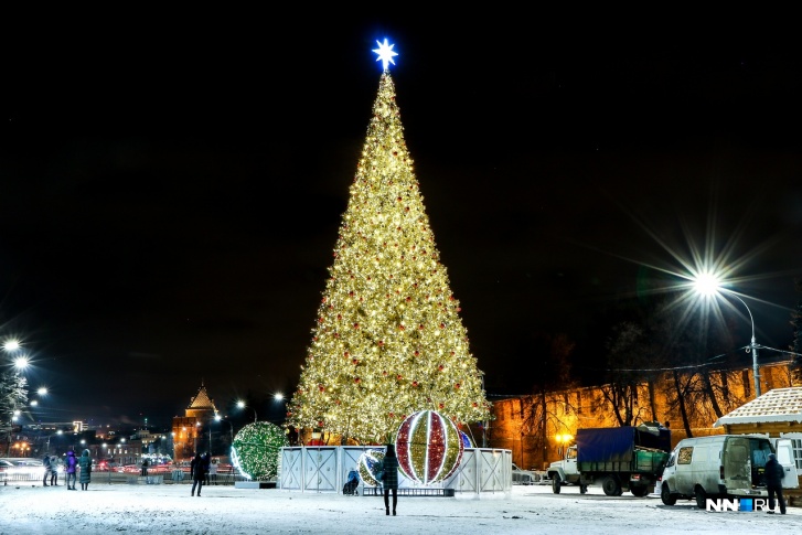 Главная новогодняя ёлка уже красуется на площади Минина 