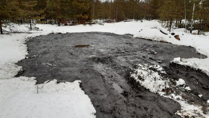 Неизвестное химическое вещество обнаружили в лесу жители Дзержинска