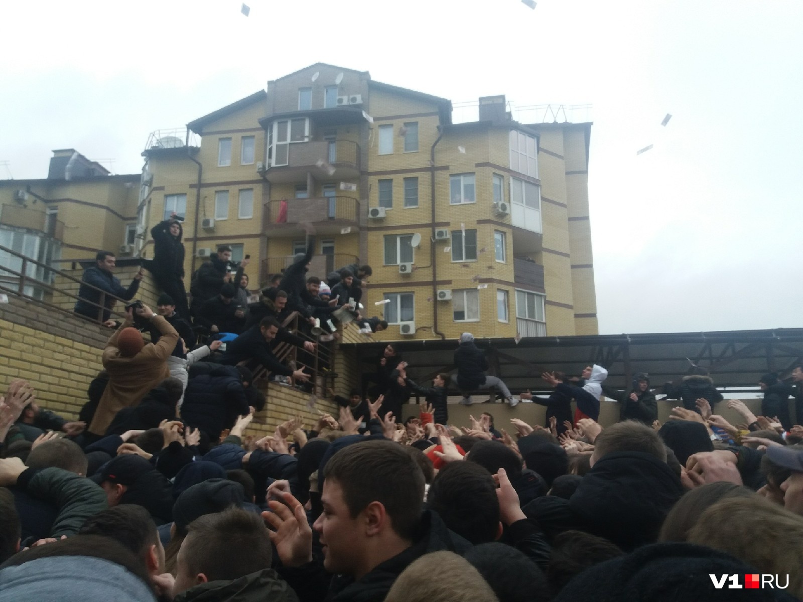Борьба за халяву Борьба за халяву