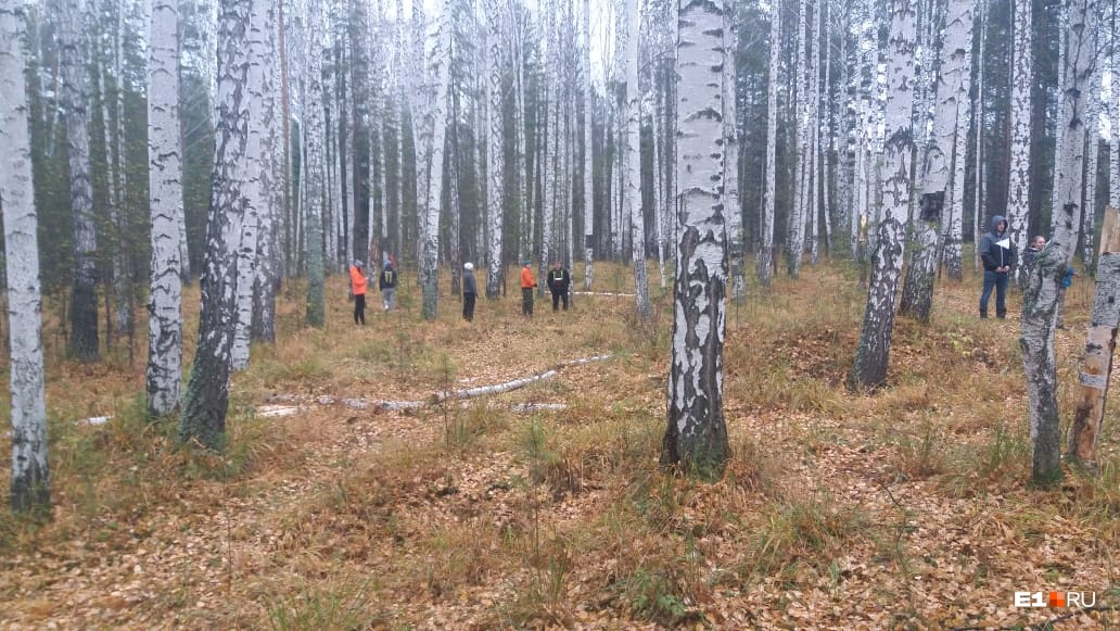 Сейчас они прочесывают лес Сейчас они прочесывают лес