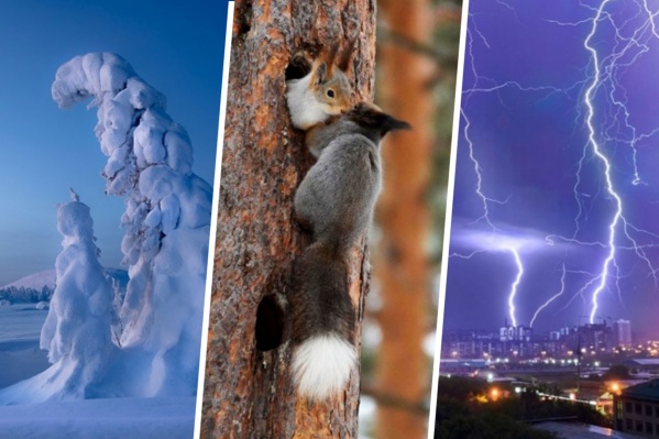 Смотрим лучшие фотографии ушедшего 2019 года Смотрим лучшие фотографии ушедшего 2019 года