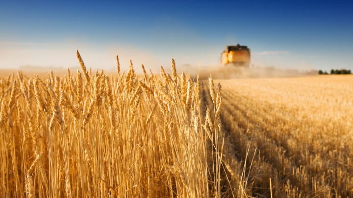 МКБ продолжает развивать поддержку экспорта зерна