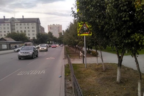 В Новосибирске множество знаков закрыты от водителей листвой В Новосибирске множество знаков закрыты от водителей листвой