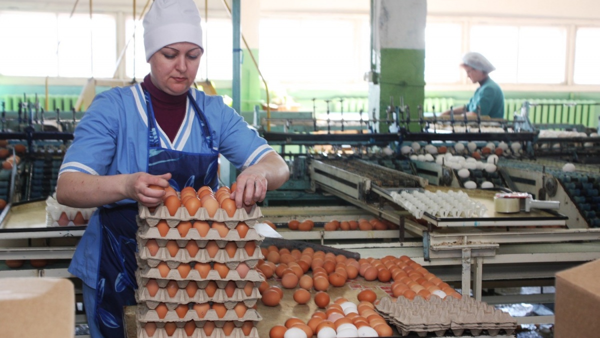 Угадайте, какой совет № 1 даёт Роскачество сразу после того, как вы решили приготовить яйца?