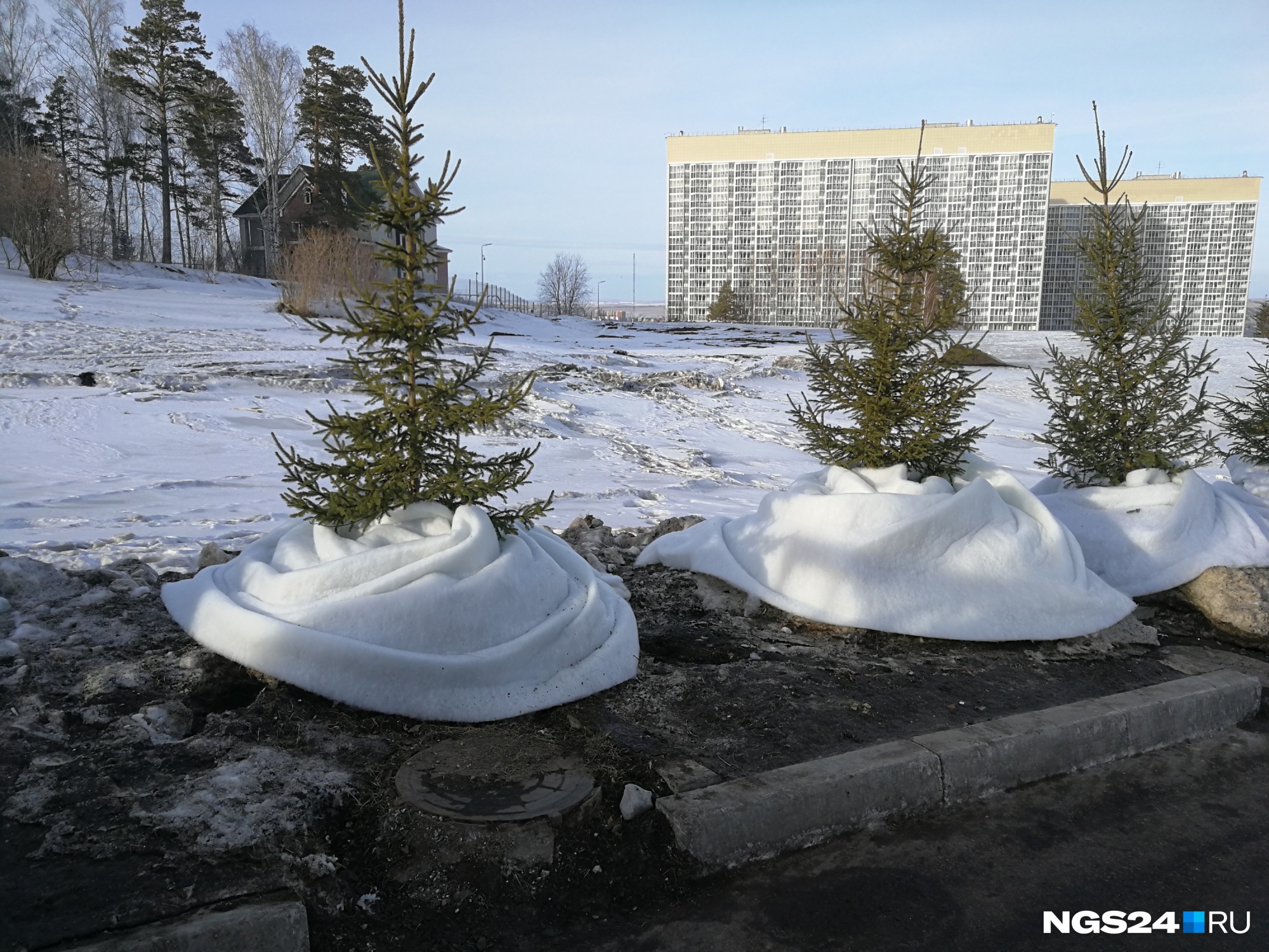 Закрой снежок. Сугроб под елку из синтепона. Красноярск неубранный снег. Искусственные снежные сугробы. Снег под елку из синтепона.