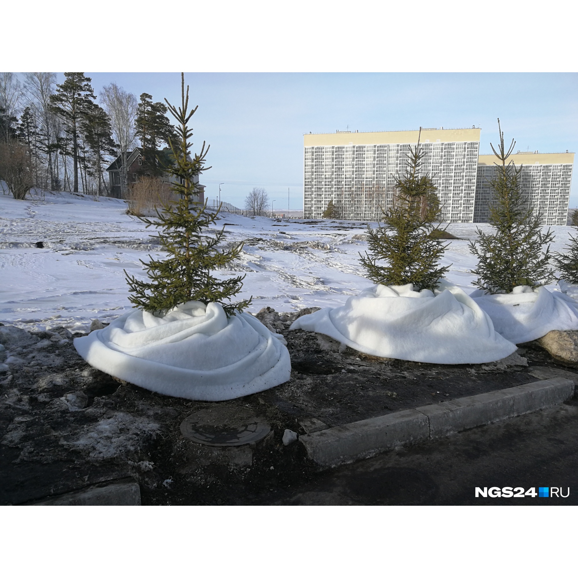 Фото с другого ракурса Фото с другого ракурса 