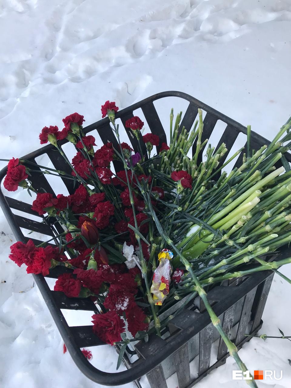 Цветы в мусорке зимой