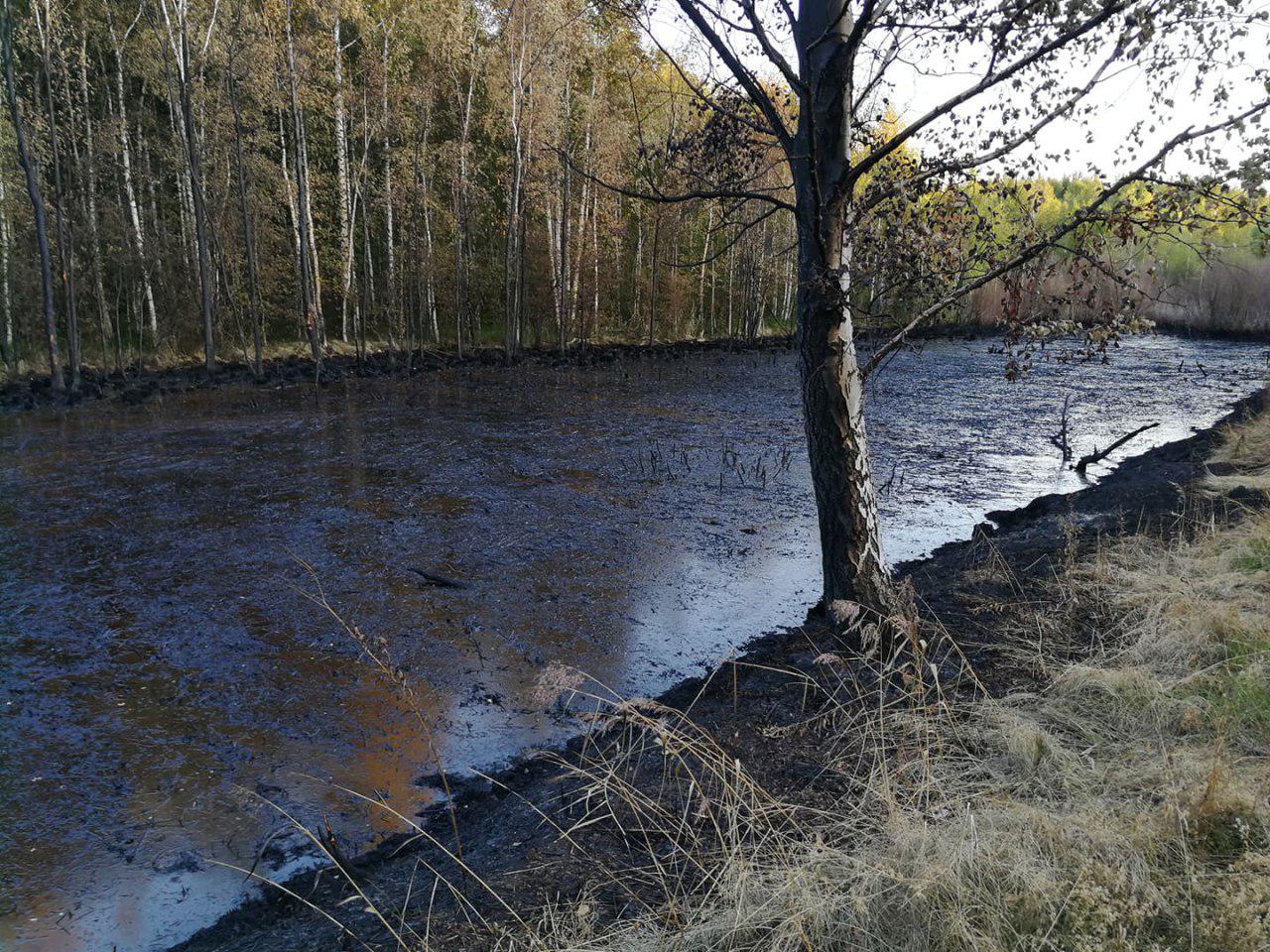 «Может вспыхнуть в любой момент»: в Ярославле разлилось «нефтяное» озеро. Онлайн-трансляция