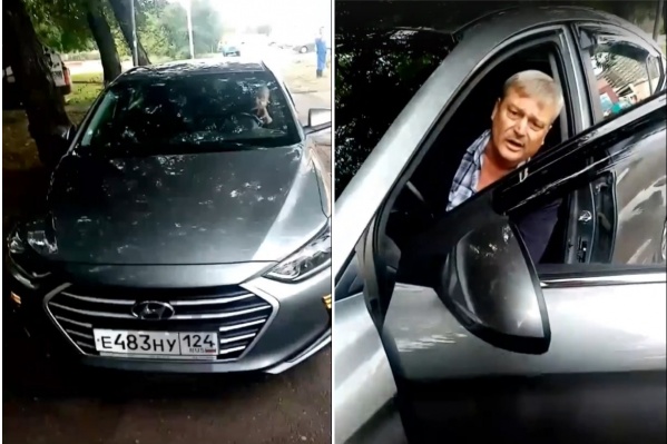В ГИБДД усмотрели нарушение и уже начали проверку действий водителя В ГИБДД усмотрели нарушение и уже начали проверку действий водителя