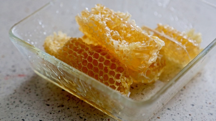 600 показателей меда: качество башкирского продукта определят с помощью гормонов