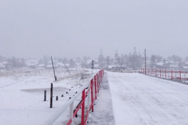 В Нёноксе серьезно подошли к проблеме с волками — собаки сидят дома, а охотники выслеживают хищников