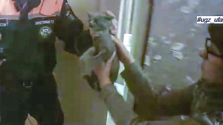 В Уфе спасатели вытащили котенка из заточения и записали это на видео