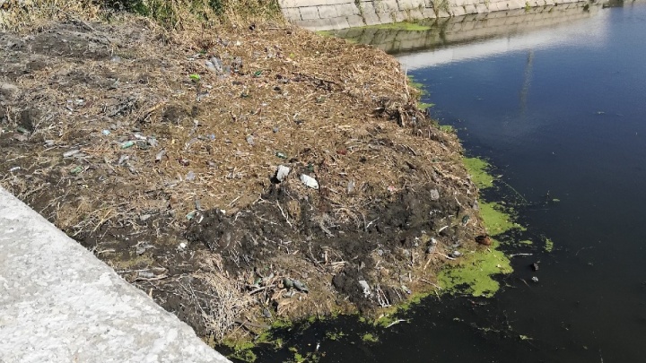 «Люди очень активно мусорят»: челябинцев возмутила очистка реки Миасс за 15 миллионов рублей