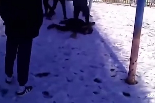 Избиение школьника снимали на видео Избиение школьника снимали на видео 