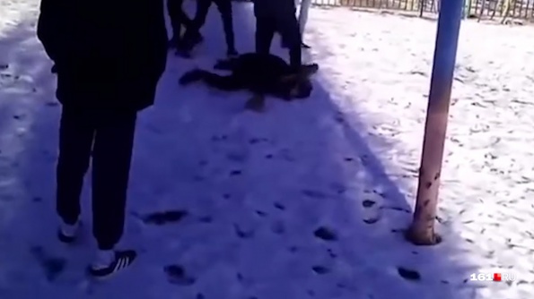 Пошел на поправку: в Новошахтинске избитого толпой школьника выписали из больницы