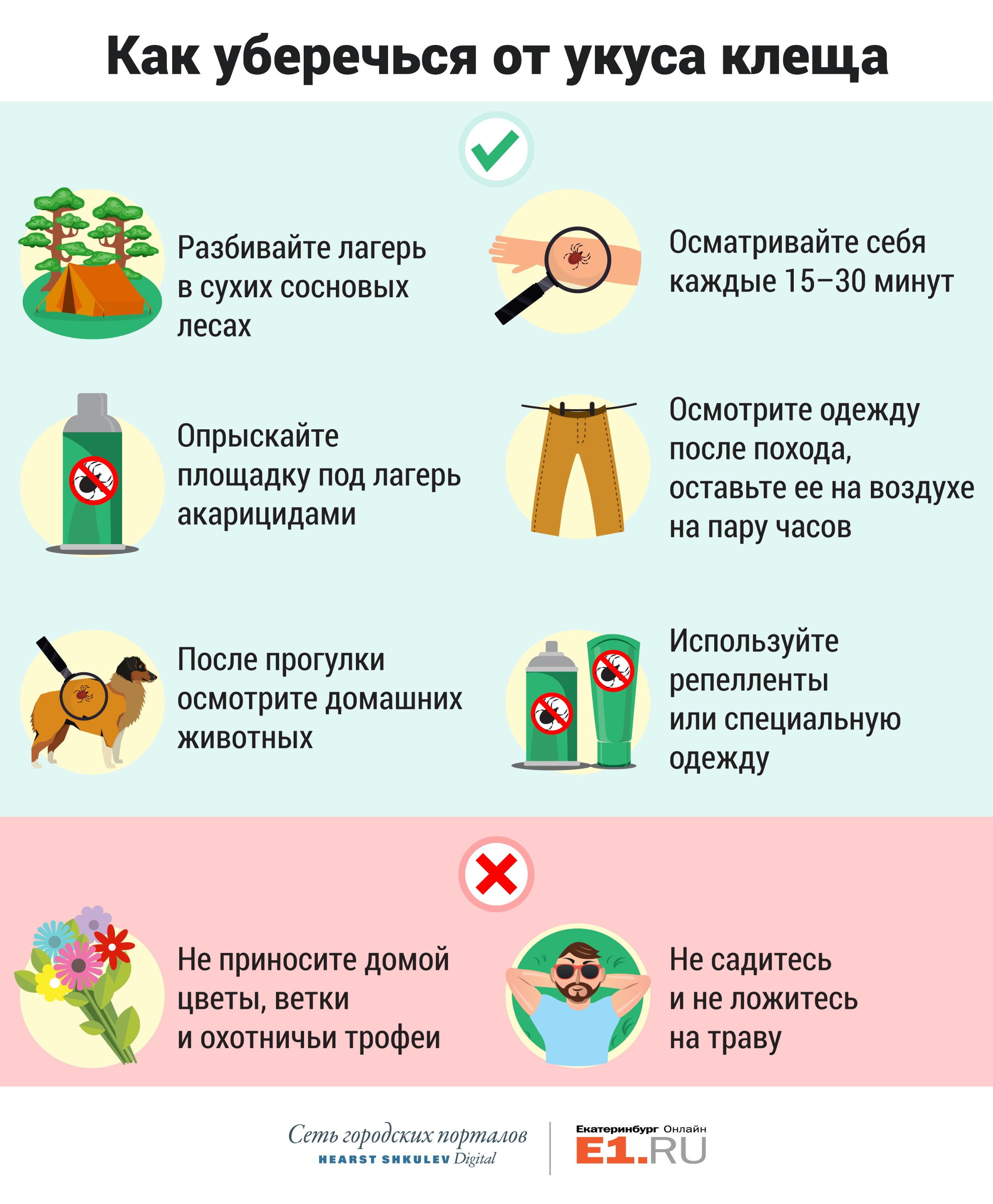 От клеща не зарекайся: инструкция E1.RU для уральского туриста