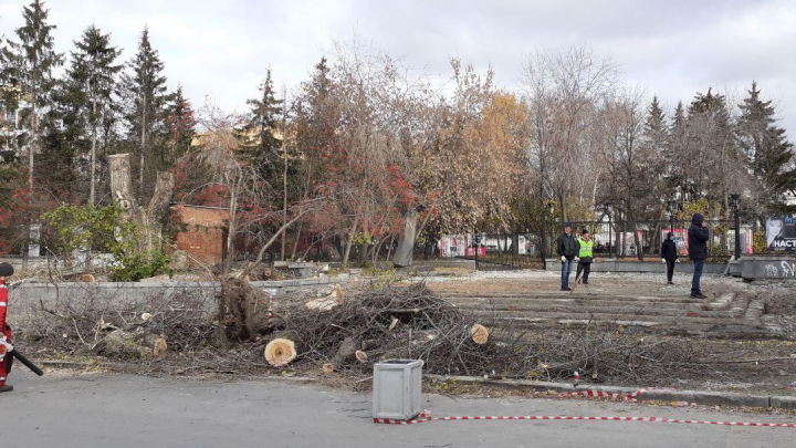 В Екатеринбурге общественники обвинили мэрию в «варварском» благоустройстве из-за обрезки деревьев