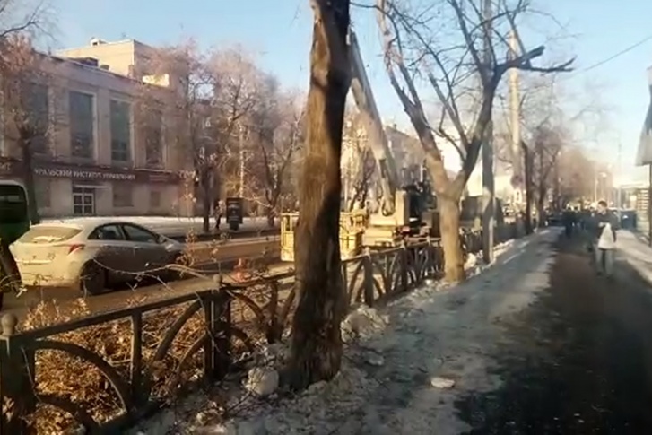 Деревья простояли праздничными недолго Деревья простояли праздничными недолго