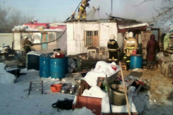 В собачьем приюте «Джульбарс и его друзья» сгорел дом. «Все хвостики живы» В собачьем приюте «Джульбарс и его друзья» сгорел дом. «Все хвостики живы»