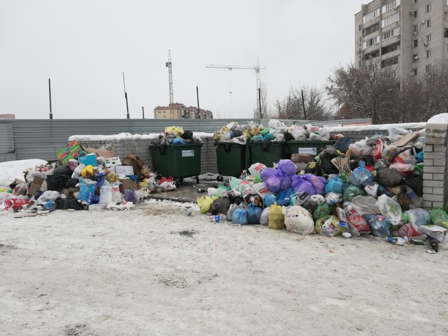 Волгоград с Нового года зарос невывезенным мусором - фото 3