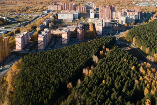 Широкие коридоры, просторные комнаты, ниши под гардеробную — здесь продумали все Широкие коридоры, просторные комнаты, ниши под гардеробную — здесь продумали все