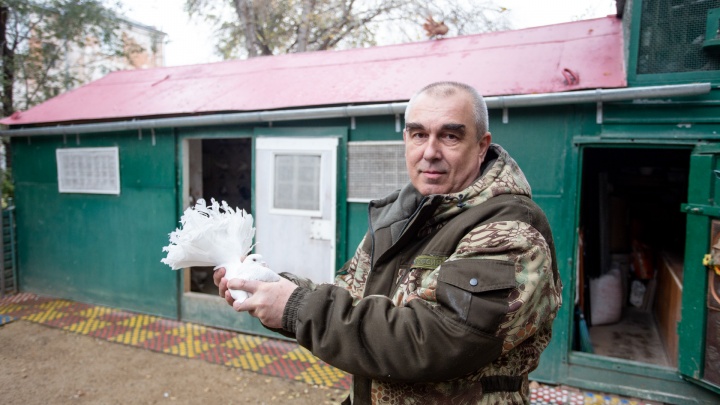 Челябинский сапожник построил голубятню во дворе многоэтажки и держит больше сотни птиц
