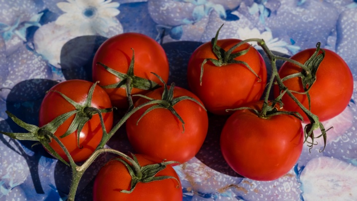 В Прикамье капуста за месяц подорожала на 40%, а помидоры — на 30%