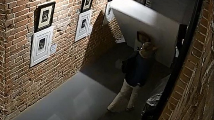 Как челябинки уронили картину Дали в екатеринбургской галерее: смотрим полное видео ЧП