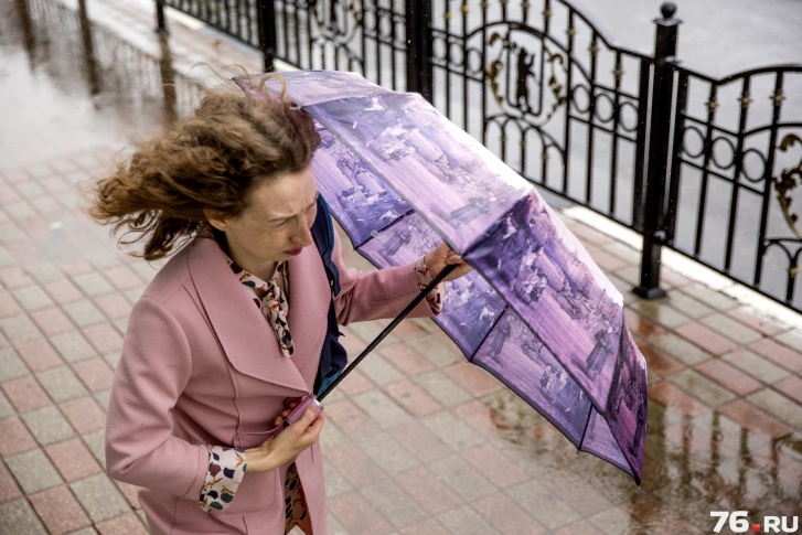 В Ярославль резко пришла осень: дожди, сильный ветер и похолодание<br> В Ярославль резко пришла осень: дожди, сильный ветер и похолодание<br>
