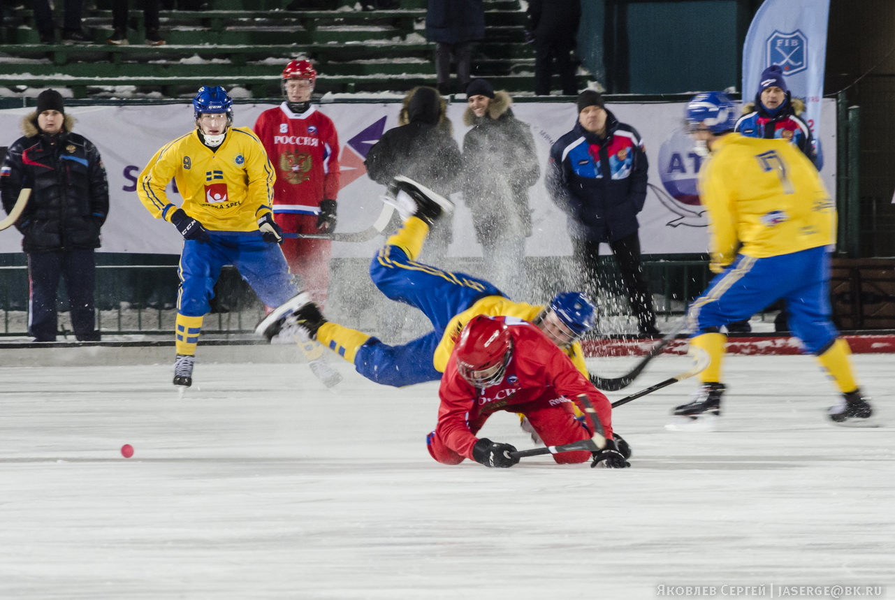 Бенди результаты матчей. Сборная Швеции по Bandy. БЕНДИ хоккей с мячом.