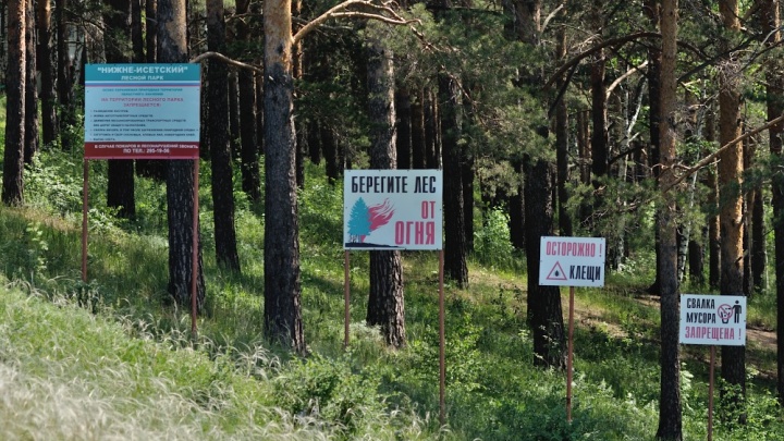 В шести лесопарках Екатеринбурга проведут генеральную уборку