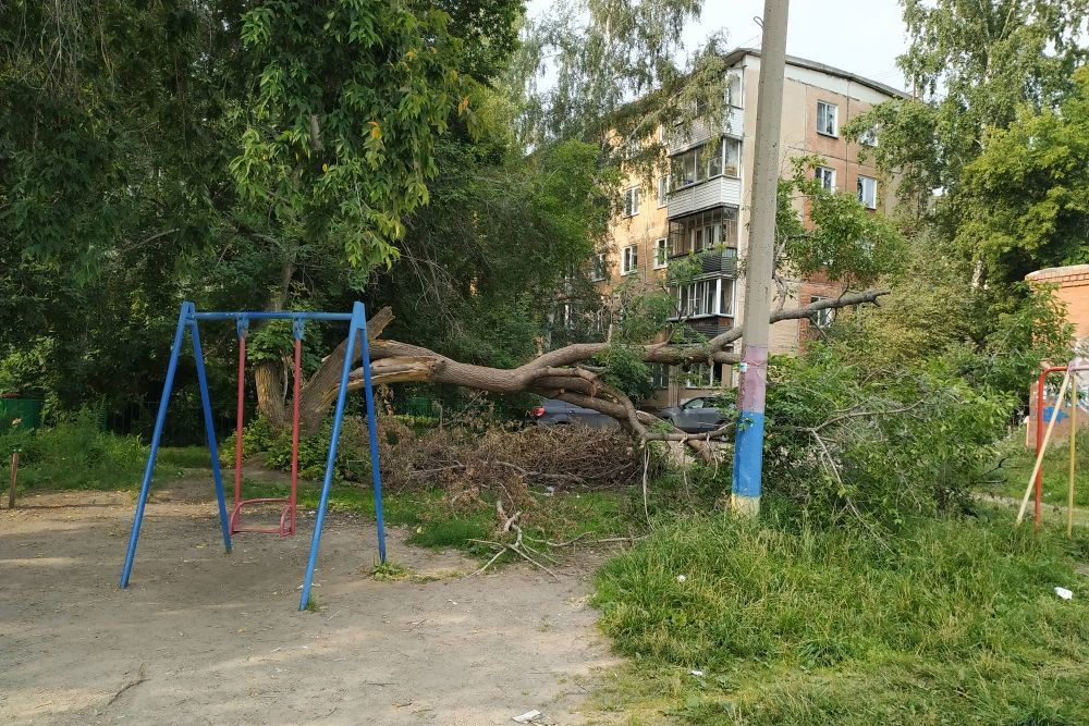 Дерево на детской площадке Дерево на детской площадке