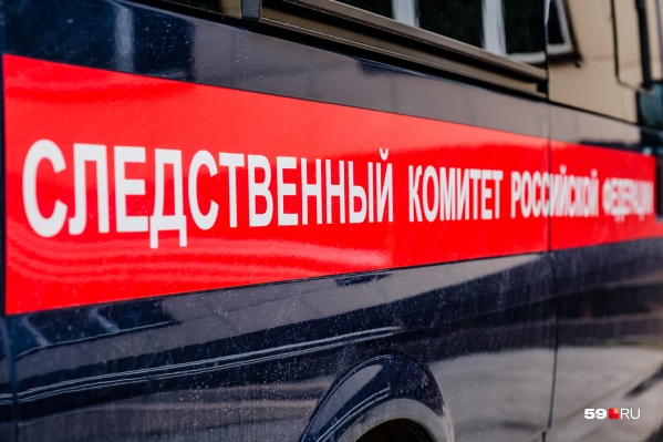 Следователи провели обыск в службе отлова животных Следователи провели обыск в службе отлова животных