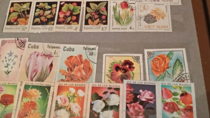 «Продам за 2 миллиона рублей»: парень из Уфы готов расстаться с коллекцией советских марок