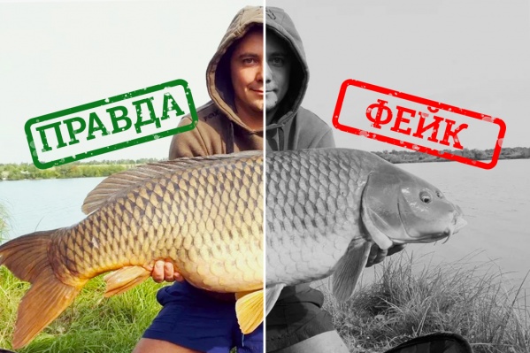 Иногда отличить настоящую рыбу от фейковой просто нереально Иногда отличить настоящую рыбу от фейковой просто нереально