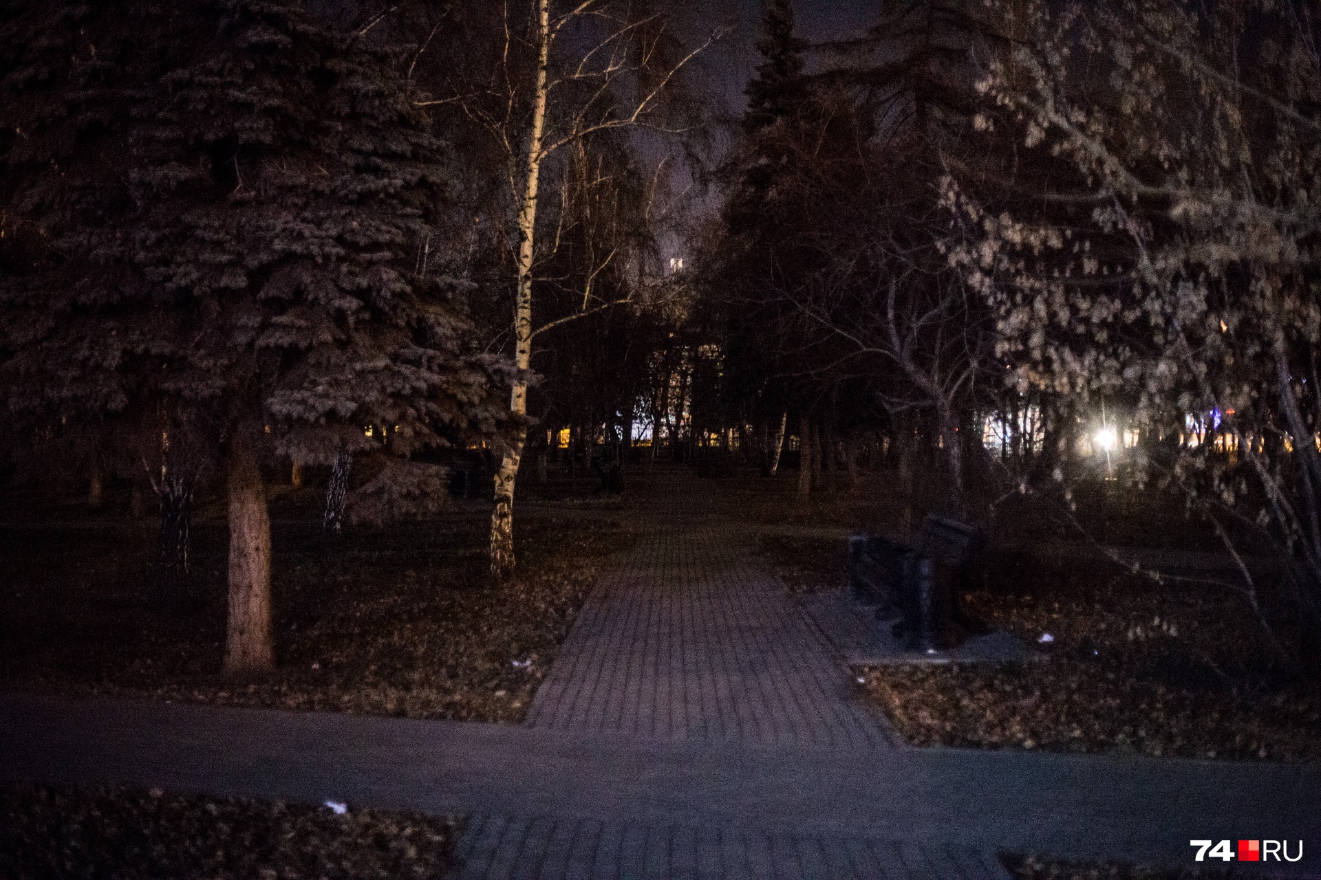Это не дремучий лес. Это недавно обновлённый сквер на улице Кирова, но на фонари у властей копеечки не нашлось Это не дремучий лес. Это недавно обновлённый сквер на улице Кирова, но на фонари у властей копеечки не нашлось