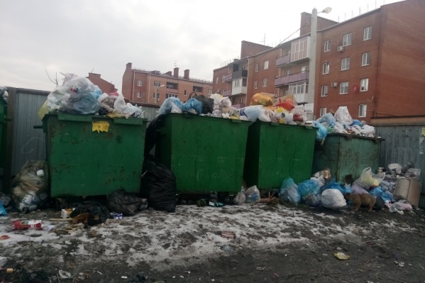 Житель Новошахтинска утверждает, что мусор вывозят не чаще раза в неделю Житель Новошахтинска утверждает, что мусор вывозят не чаще раза в неделю