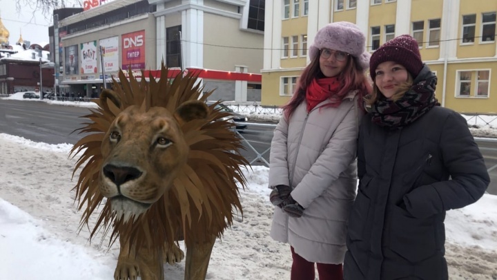 Глобальное потепление: как с помощью «Гугла» прогуляться по Архангельску с аллигатором и пандой