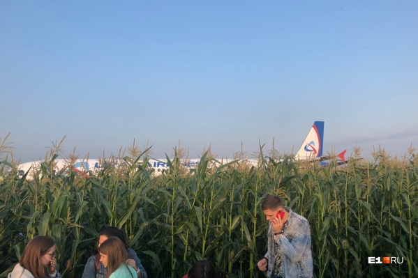 Самолет экстренно сел в поле Самолет экстренно сел в поле