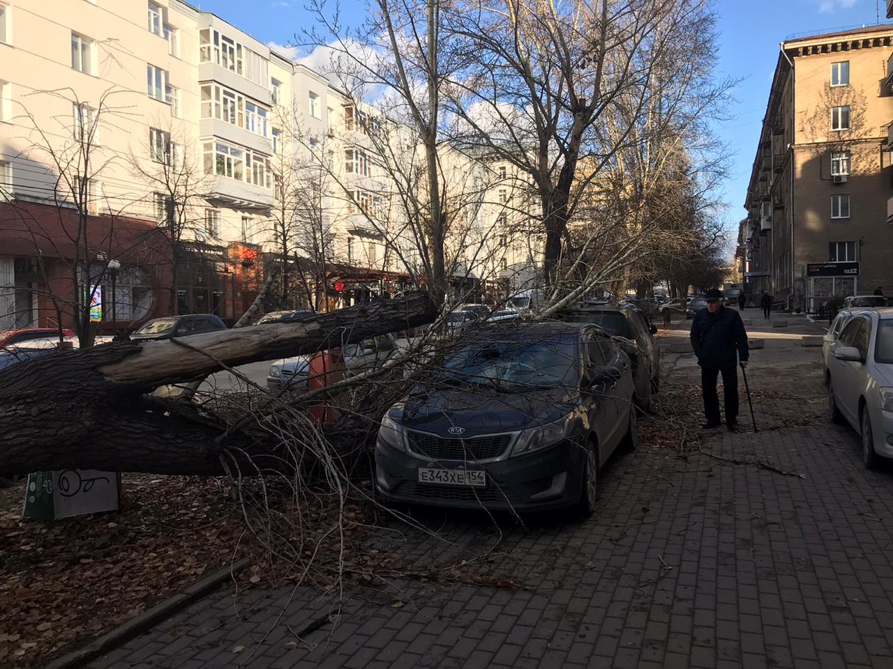 Синоптики уверяют, что ветер прекратится уже ночью, а 30 октября его сила заметно ослабеет Синоптики уверяют, что ветер прекратится уже ночью, а 30 октября его сила заметно ослабеет